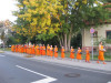 AA1A26C5-C2F9-4505-84F1-D4A7E4D2EF8B - พระมหาคองเขน สิริจันโท.jpeg